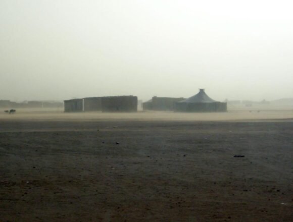 ¡ÚLTIMAS noticias contra el desierto informativo del Sahara Occidental!