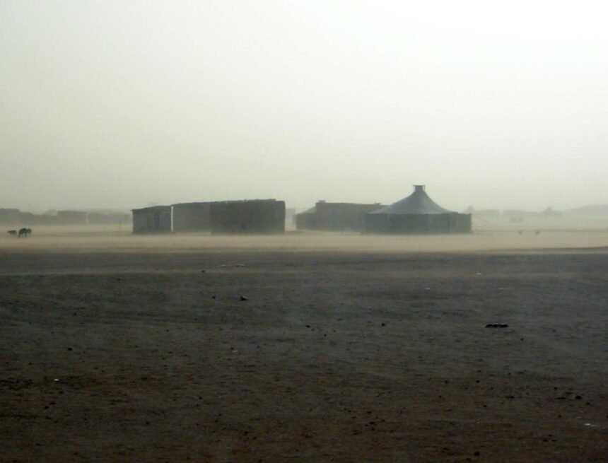 La Actualidad Saharaui: 14 de octubre de 2019 ??