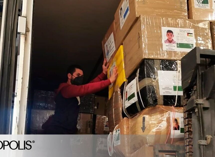 ANDALUCÍA: Envían comida y material anticovid a los campamentos saharauis por la pandemia que volverá a cancelar ‘Vacaciones en paz’ – Redacción Cordópolis