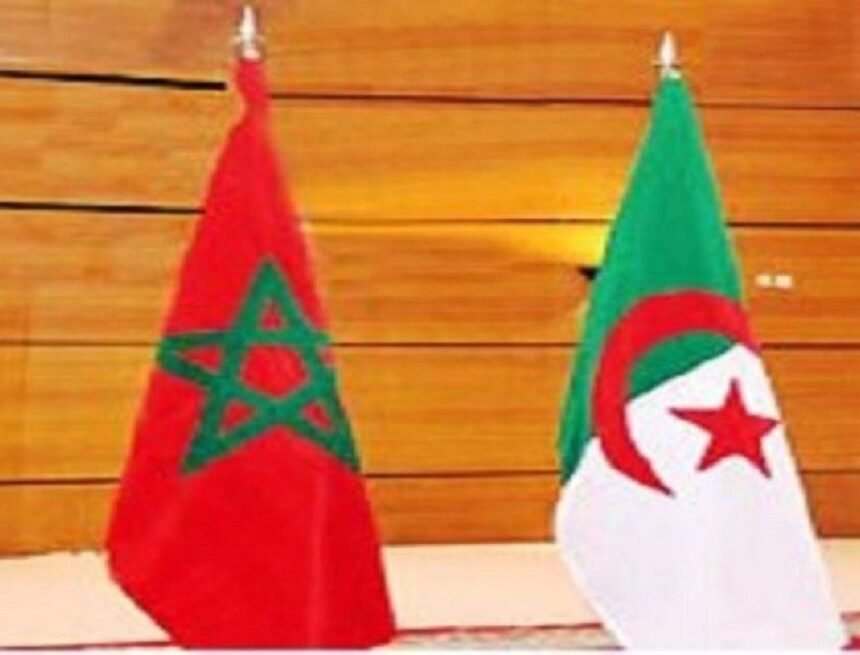 Sahara occidental : à l’ONU, l’Algérie corrige à nouveau le Maroc – TSA-Algérie