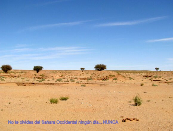 La Actualidad Saharaui: 27 de julio de 2020 ??