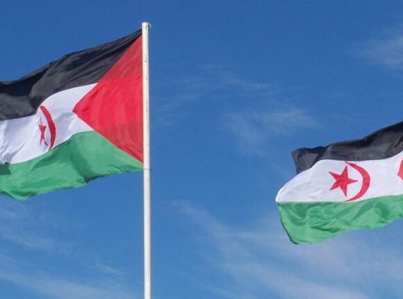 Remedios García: «el pueblo saharaui siempre ha apoyado el diálogo» – El Estado