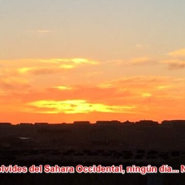 C1YtufwWQAAP5-i La #ActualidadSaharaui: 5 de abril de 2021 ??