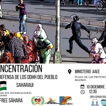 Convocan manifestación para exigir el respeto a los DDHH del pueblo saharaui – JUEVES 10 DE DICIEMBRE, A LAS 12.30 EN LA PLAZA DE LAS PROVINCIAS, MADRID (frente al Ministerio de AAEE)