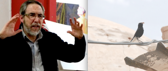 Bubisher CÓMO ME CONVERTÍ EN BUBI