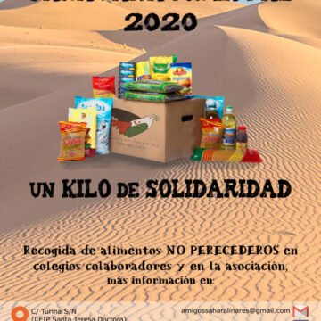 Cartel-Caravana-724x1024 La Actualidad Saharaui: 21 de enero de 2020 (fin de jornada) ??