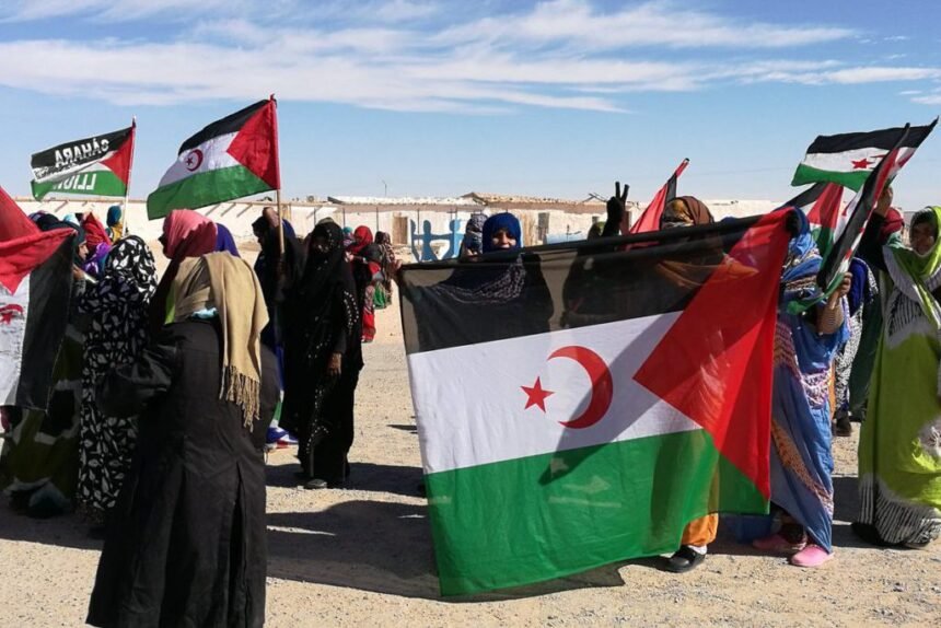 MALAININ LAKHAL: Arduo «camino hacia la libertad» en el Sáhara Occidental | Arainfo