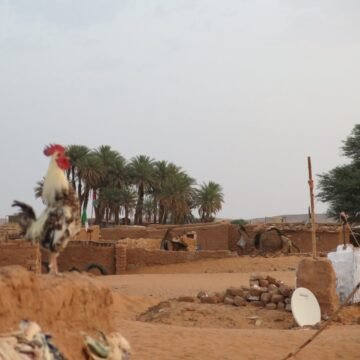 ⚡️ ?? La #ActualidadSaharaui HOY, 3 de marzo de 2019 ??