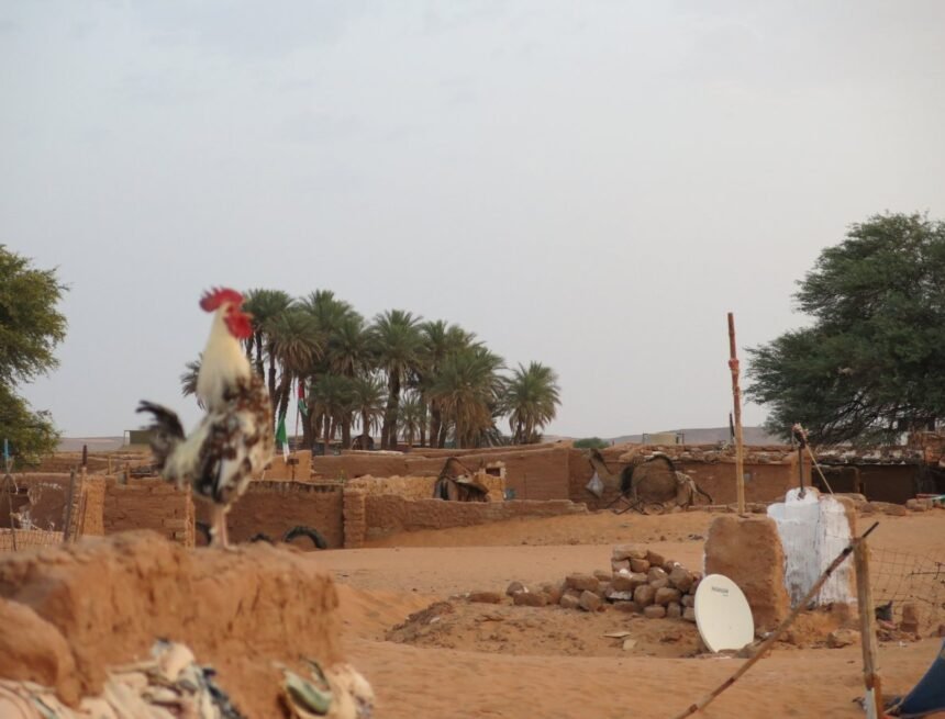 ⚡️ ?? La #ActualidadSaharaui HOY, 3 de marzo de 2019 ??