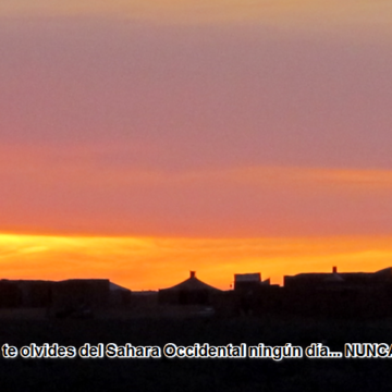 ⚡️ ?? La #ActualidadSaharaui HOY, 17 de marzo de 2019 ??