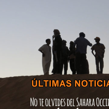 ¡La ACTUALIDAD SAHARAUI! ÚLTIMAS NOTICIAS del Sahara Occidental – 23/11/2022