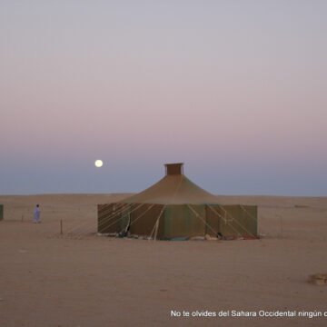 La Actualidad Saharaui: 24 de marzo de 2020 ( fin de jornada) ??