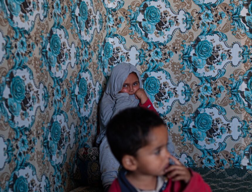 El proyecto de vacaciones en paz permite a niños ser los embajadores del pueblo saharaui, por Salamu Hamudi Bachri – Spanish Revolution