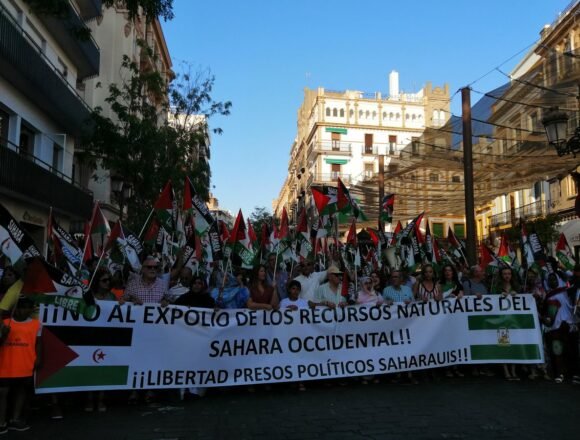 Fin de la #ActualidadSaharaui HOY, 13 de julio de 2019 ??