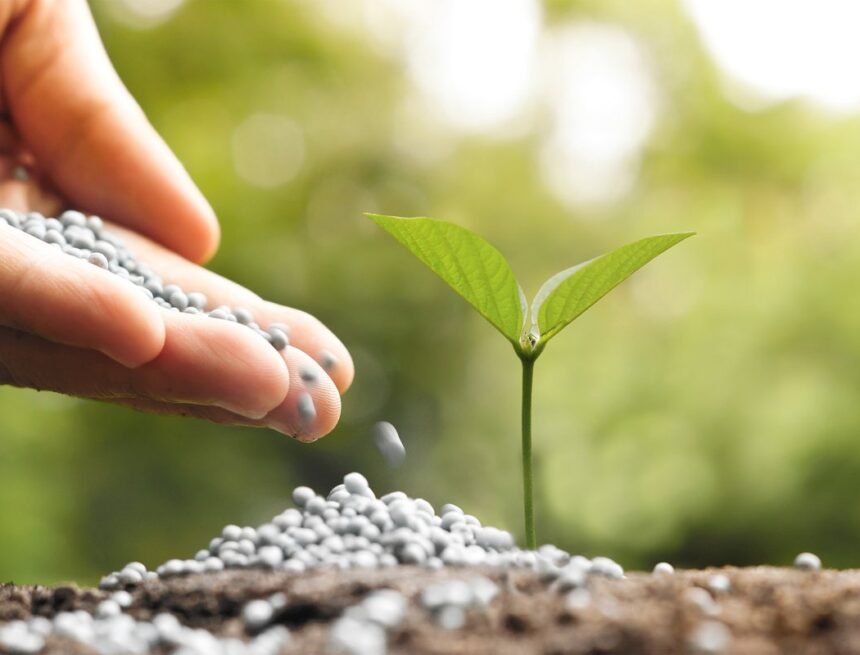 Nutrien met fin à ses importations illégales de phosphate du Sahara occidental – Algeria Today