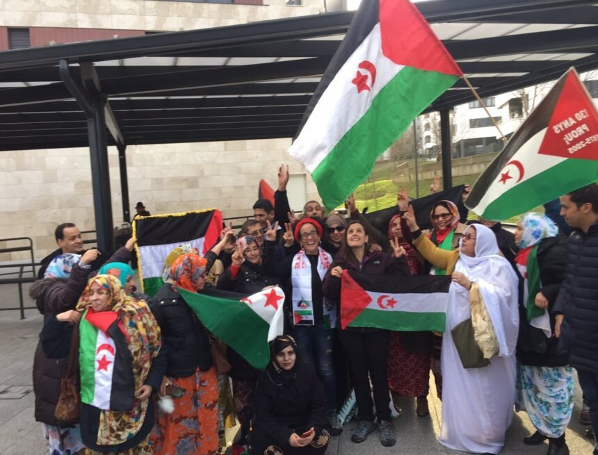 Numeroso recibimiento a las activistas Patricia Ibáñez e Irati Tobar tras ser expulsadas del Sáhara Occidental ??