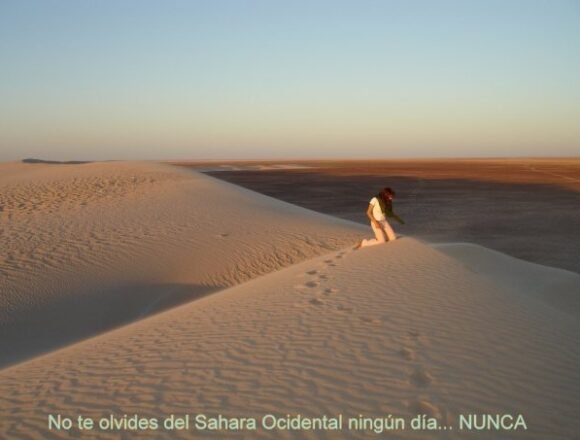 ⚡️ ?? La #ActualidadSaharaui HOY, 1 de febrero de 2019 ??