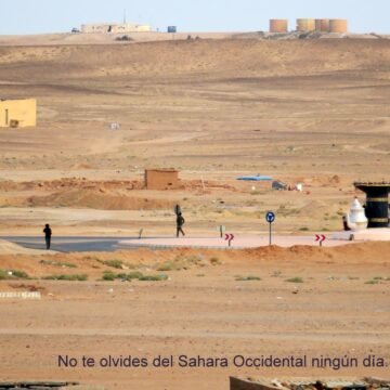 ⚡️ ?? La #ActualidadSaharaui HOY, 3 de febrero de 2019 ??