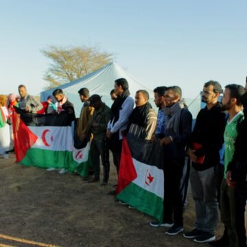 ¡ÚLTIMAS noticias contra el desierto informativo del Sahara Occidental!