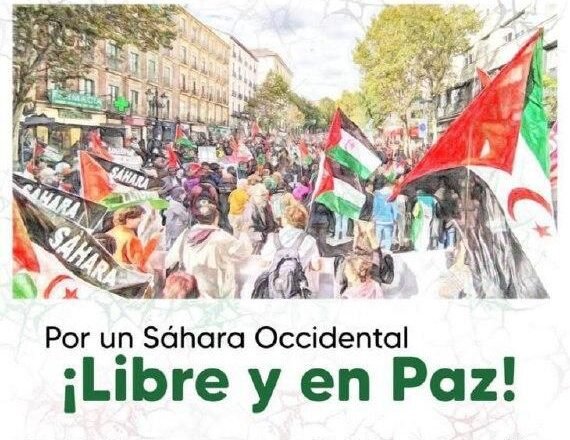 ¡LA ACTUALIDAD SAHARAUI! – 28/7/2023 – ÚLTIMAS NOTICIAS del Sahara Occidental
