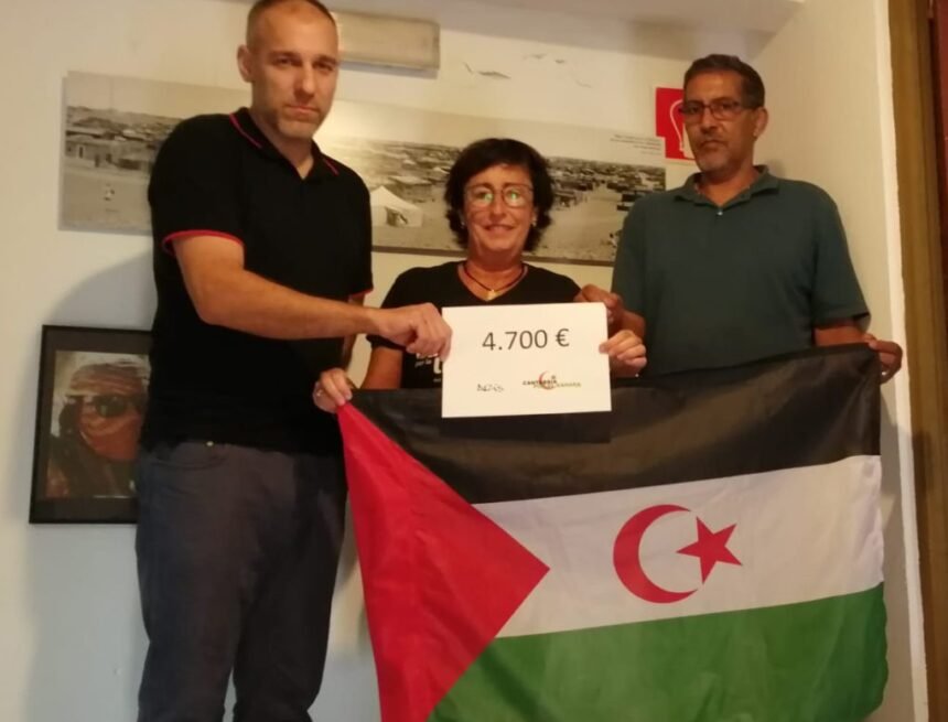 El arte de Aris Rosino apoya la @EFA_Rasd, escuela de creación audiovisual en los Campamentos saharauis  – El Faradio