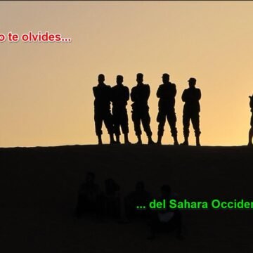 Fy_zEmSWwAE7Qt4 ¡LA ACTUALIDAD SAHARAUI! – 21/6/2023 – ÚLTIMAS NOTICIAS del Sahara Occidental