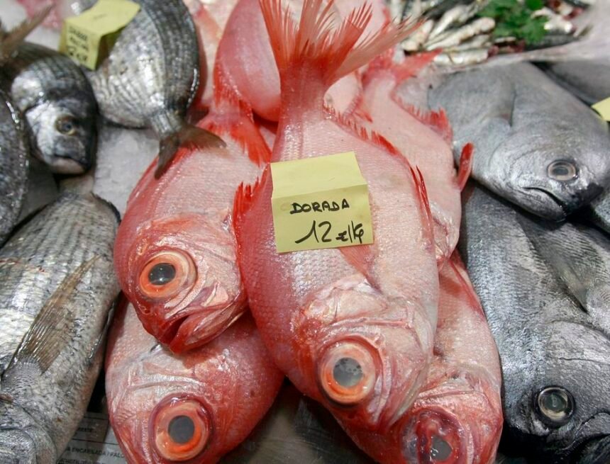 GN18P24F1_20334 Turquía crece en el mercado pesquero a costa del Sáhara ocupado