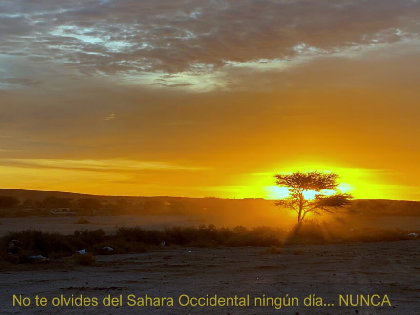 La Actualidad Saharaui: 6 de junio de 2020 ??