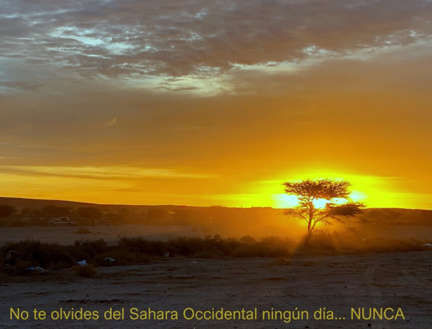 IMG La Actualidad Saharaui: 6 de junio de 2020 ??