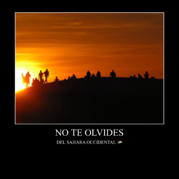 IMG_0097 La Actualidad Saharaui: 3 de abril de 2020 ??