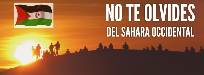 ¡LA ACTUALIDAD SAHARAUI! – 11/7/2023 – ÚLTIMAS NOTICIAS del Sahara Occidental