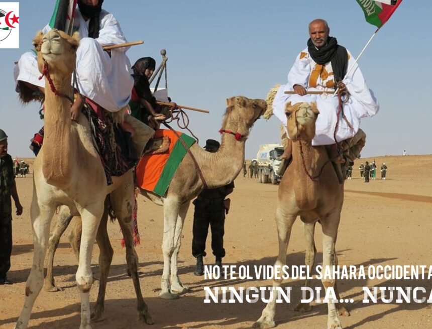 IMG_0192 La Actualidad Saharaui: 14 de junio de 2020 ??