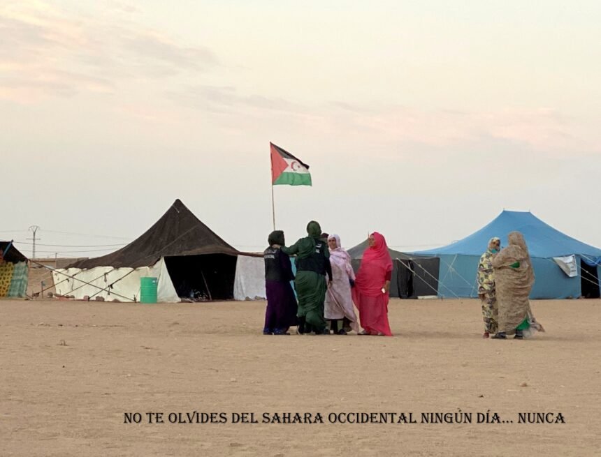 La Actualidad Saharaui: 4 de noviembre de 2019 ??