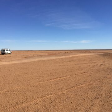 IMG_0300 ⚡️ ?? Las noticias saharauis del 13 de enero de 2019: La #ActualidadSaharaui de HOY ????