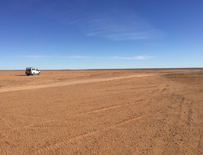 IMG_0300 ⚡️ ?? Las noticias saharauis del 13 de enero de 2019: La #ActualidadSaharaui de HOY ????