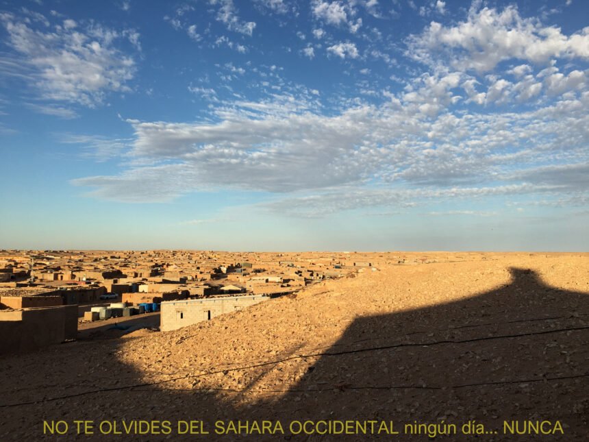 La Actualidad Saharaui: 8 de junio de 2020 ??