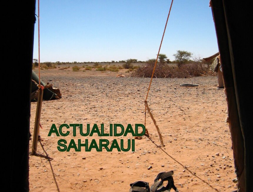 ⚡️ ?? La #ActualidadSaharaui HOY, 11 de enero de 2019 ??