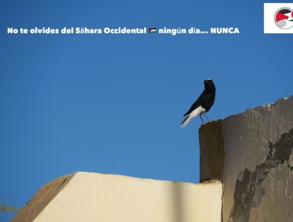 ?? La #ActualidadSaharaui HOY, 5 de julio de 2019 ??