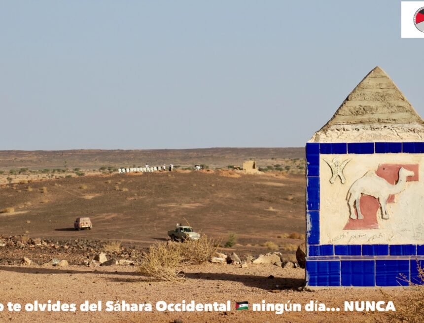 IMG_0642 La Actualidad Saharaui: 11 de julio de 2020 ??