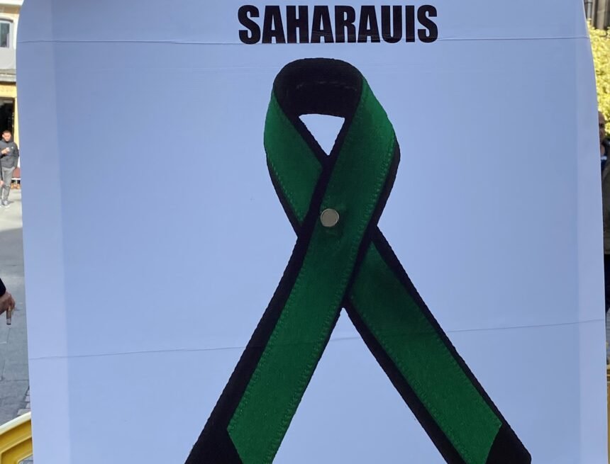 IMG_0879photo La Actualidad Saharaui: 18 de noviembre de 2019 (fin de jornada) ??