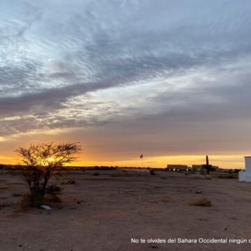 IMG_1168photo-2 La Actualidad Saharaui: 13 de enero de 2020 ??