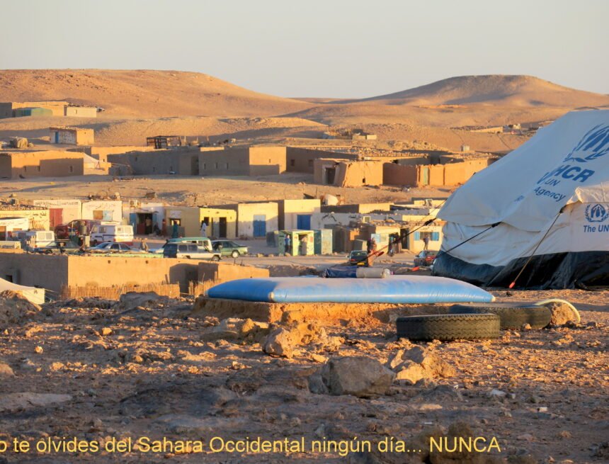 ⚡️ ?? La #ActualidadSaharaui HOY, 5 de febrero de 2019 ??