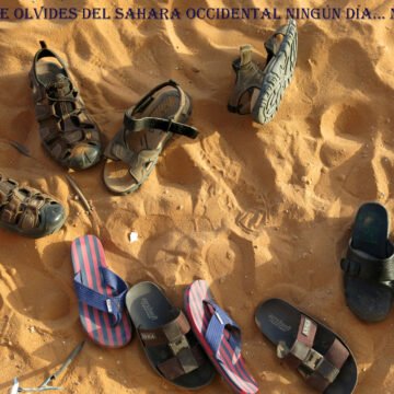 La Actualidad Saharaui: 14 de septiembre de 2019 ??