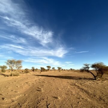 IMG_1606photo-1-scaled ¡ÚLTIMAS noticias – Sahara Occidental! 18 de julio de 2021