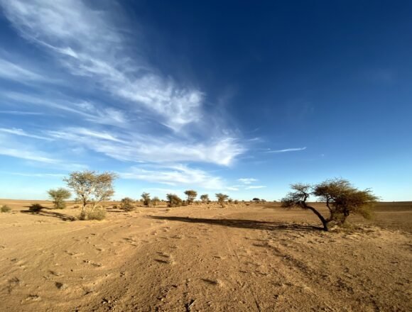 IMG_1606photo-scaled La #ActualidadSaharaui: 2 de julio de 2021 ?? ?? ??