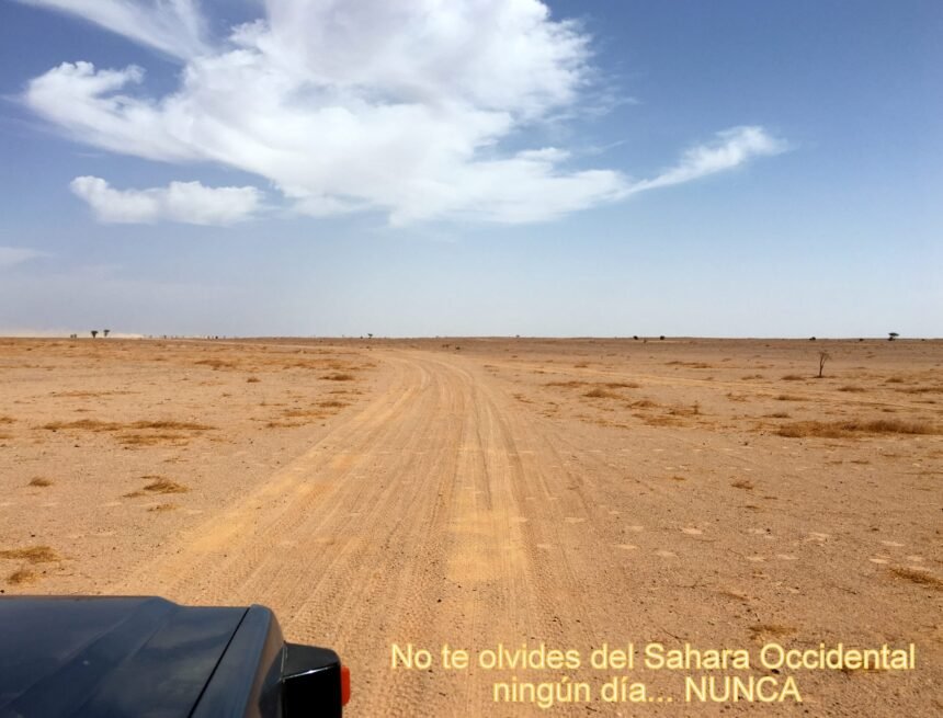 La Actualidad Saharaui: 16 de septiembre de 2020 ??