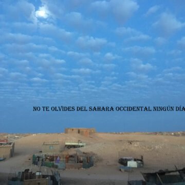 ¡ÚLTIMAS noticias contra el desierto informativo del Sahara Occidental!