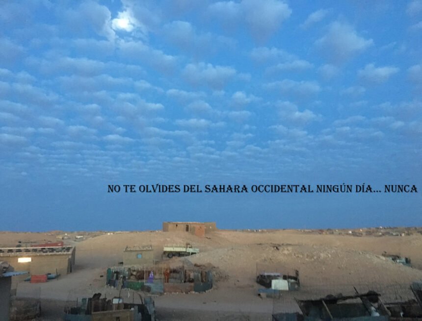 ¡ÚLTIMAS noticias contra el desierto informativo del Sahara Occidental!