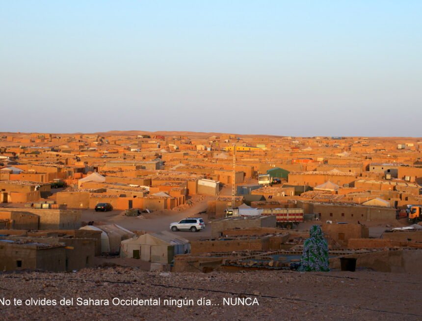 IMG_2645 ⚡️ ?? La #ActualidadSaharaui HOY, 16 de enero de 2019 ??
