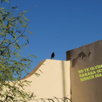 La Actualidad Saharaui: 22 de marzo de 2020 ??